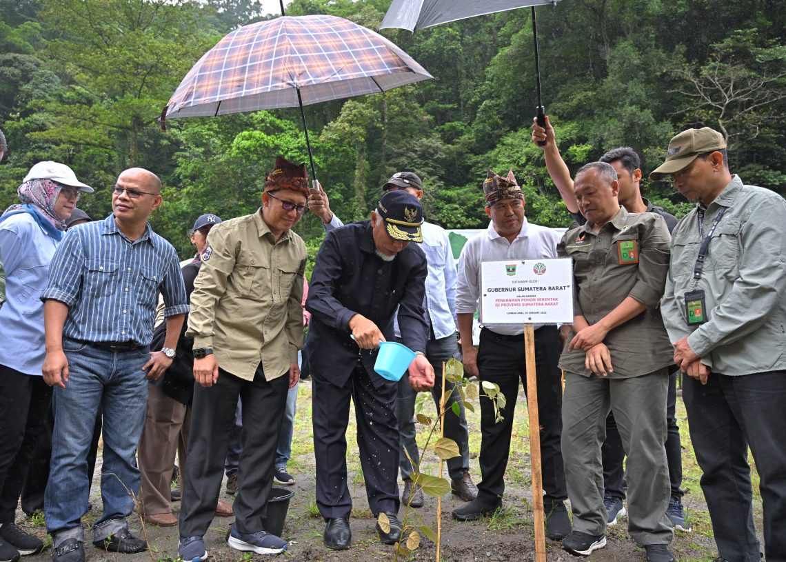 Dukung Kelestarian Hutan dan Kebijakan Nasional, Pemprov Sumbar Gelar Program Penanaman Pohon Serentak