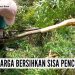 Falmizawati dan Keluarga Bersihkan Sisa Pencurian Kulit Manis, Berharap Pelaku Bisa Ditangkap