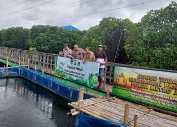 Ketahanan Pangan, Bhabinkamtibmas Lakukan Pendampingan kepada Petani Ikan