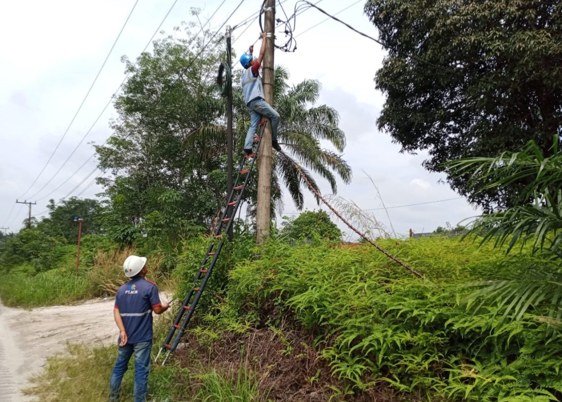 Dukung Digitalisasi Industri, PLN Icon Plus Sediakan Jaringan Andal untuk PT. Inti Indosawit