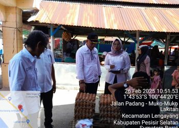 Dinas Perikanan dan Pangan Pessel Tinjau Harga Sembako dan Bahan Pangan Jelang Ramadhan 1446 H