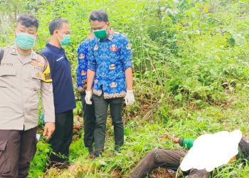 Sesosok Mayat Pria Tak Bernyawa Ditemukan di Kebun Karet Milik Warga Oku Selatan