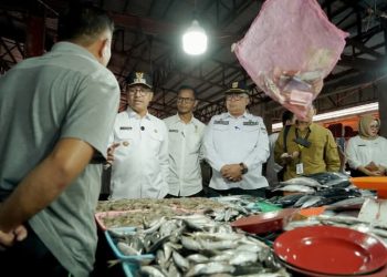 Harga Kebutuhan Pokok di Solok Selatan Relatif Stabil, Daya Beli Masyarakat Lesu