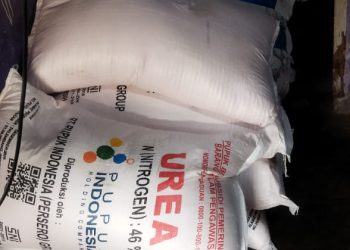 Distributor Pupuk Bungkam, Petani di Mekakau Ilir Keluhkan Tingginya Harga Pupuk Subsidi Melebihi HET
