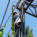 Jaga Kualitas Layanan Internet, PLN Icon Plus Sumbagteng Lakukan Pemeliharaan Jaringan Fiber Optik di Sungai Buluh
