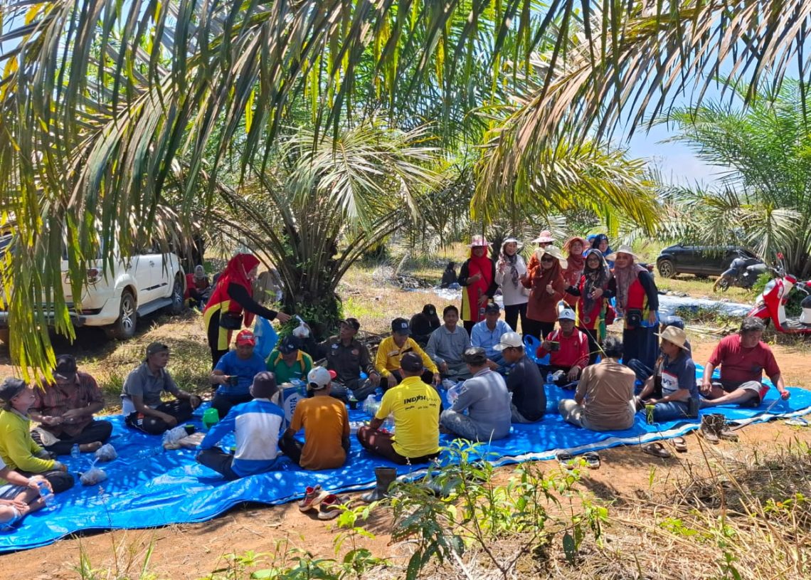 Sawit dan Solidaritas, Goro Bersama Kaum Suku Piliang
