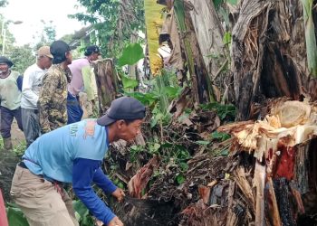 Janjikan akan Segera Dibangun, Warga Pemangku Hanakau Gotong Royong Buka Badan Jalan