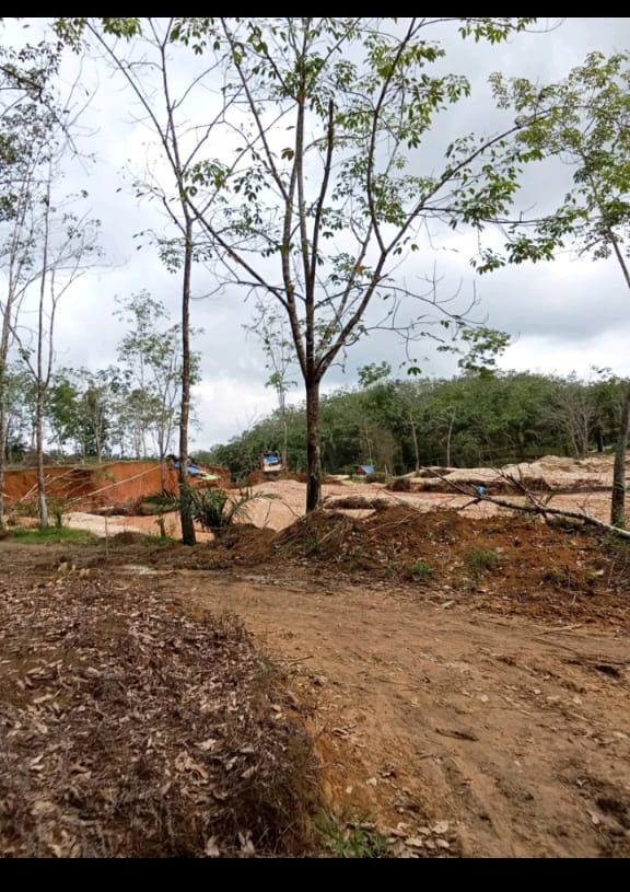 Menimbang Legalisasi Tambang Ilegal, Solusi atau Ancaman?