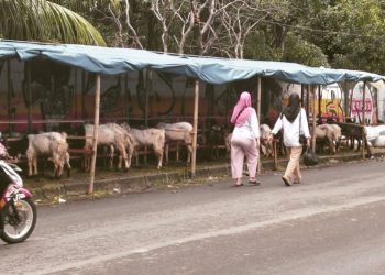 Diduga Berikan Izin Pedagang Hewan Kurban di Trotoar, Ketua RW 10 Kapuk  Jadi Sorotan