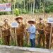 Sukseskan Program Ketahanan Pangan, Desa Sikapak Barat Panen Raya Jagung