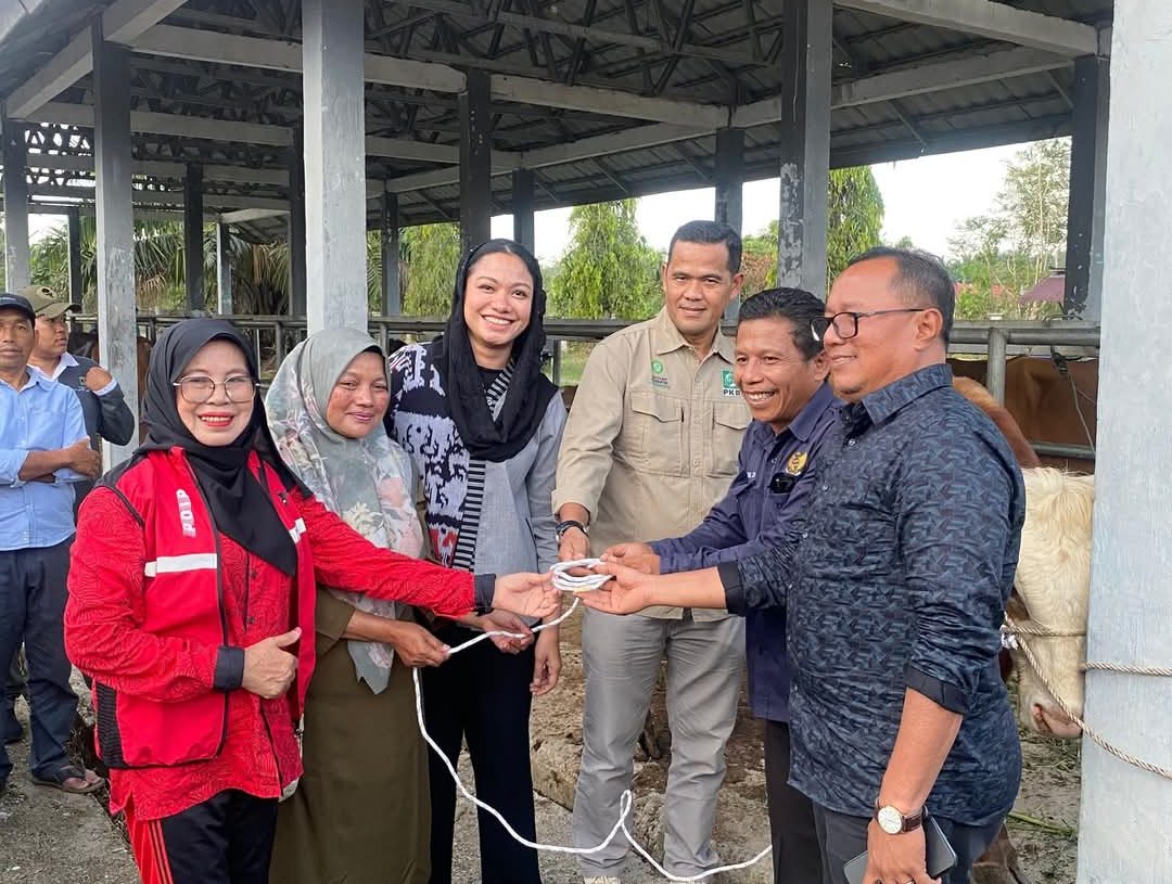 LKKS dan Pemkab Dharmasraya Himpun 22 Ekor Hewan Kurban, Termasuk Sapi 1,1 Ton dari Presiden Prabowo