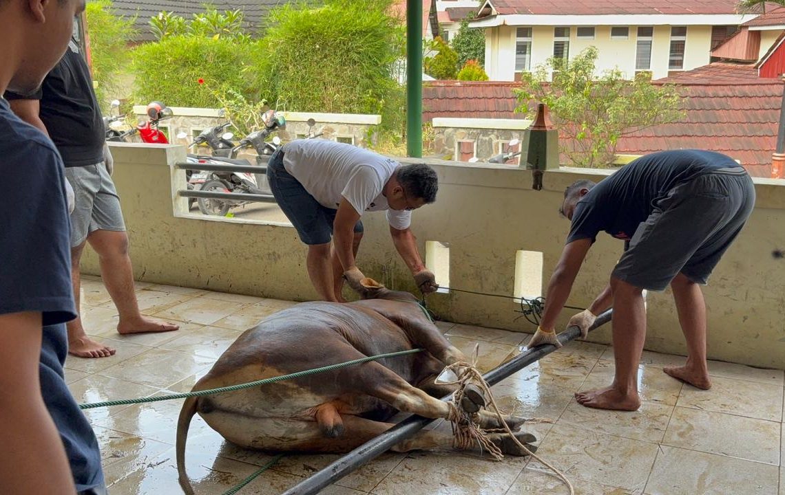 Mesjid Uswathul Hasanah LDII Sawahlunto Sembelih 7 Ekor Sapi dan 3 Kambing Hewan Kurban