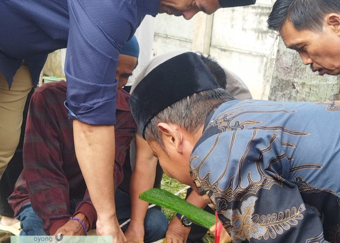 Bupati Abusama Lakukan Penyembelihan Sapi Korban Secara Simbolik di Islamic Centre Mesjid Almuhtadin