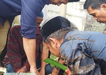 Bupati Abusama Lakukan Penyembelihan Sapi Korban Secara Simbolik di Islamic Centre Mesjid Almuhtadin