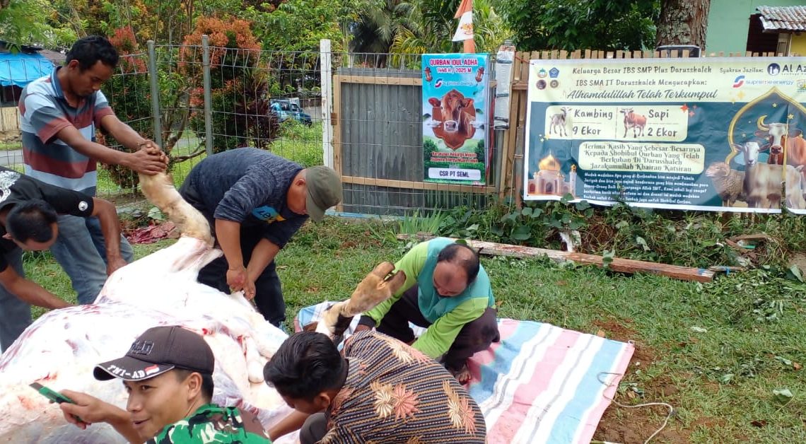 PT Supreme Energy Muaro Laboh Salurkan 20 Ekor Sapi Simental dan 2 Ekor Kambing Etawa untuk Hewan Qurban Idul Adha 1446 H