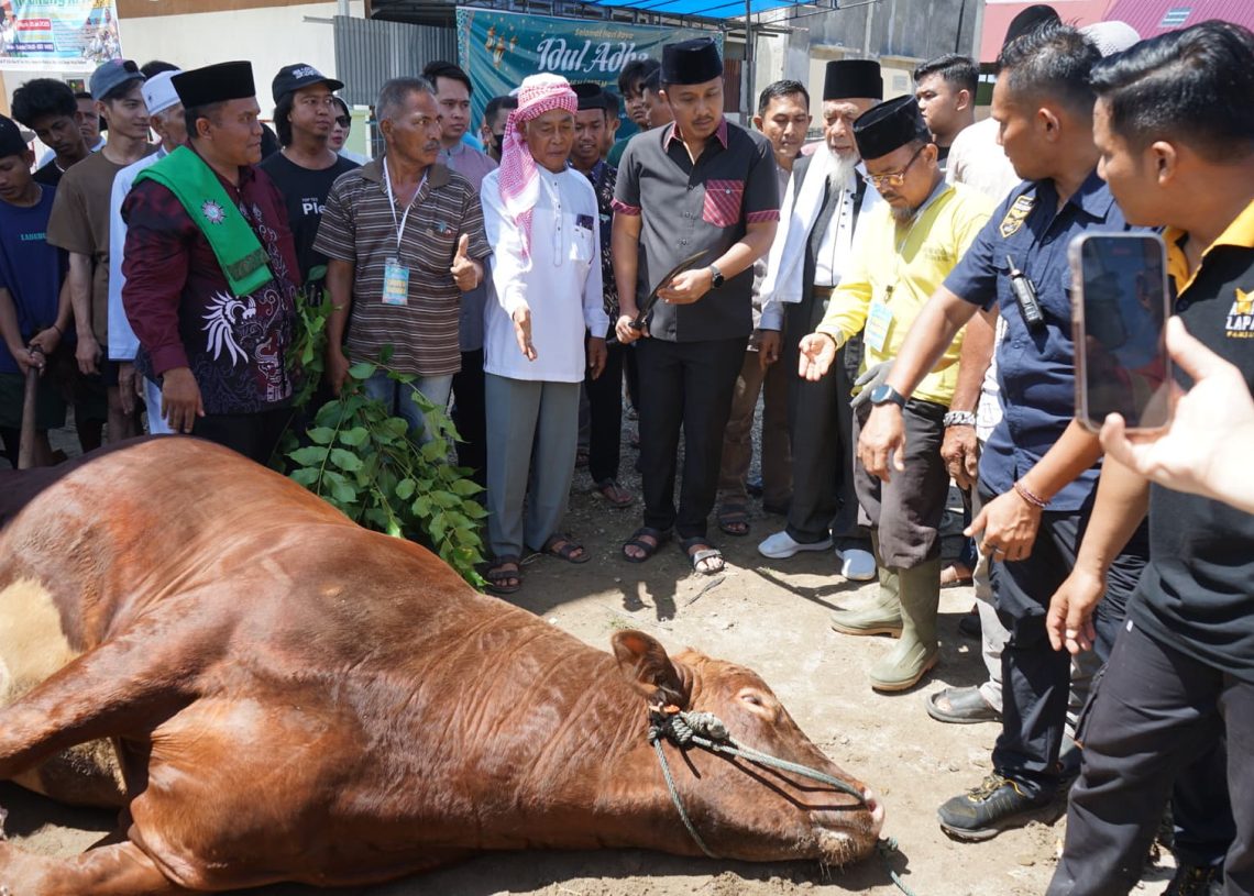 Ponpes Minangkabau Terima Bantuan Sapi Kurban Presiden, Diserahkan Wagub Vasko