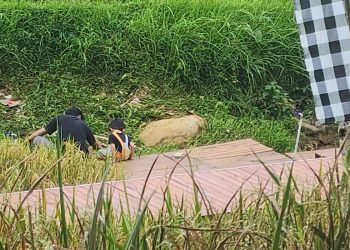 Dari Janji ke Realita: Mengatasi Kesenjangan Pangan di Indonesia