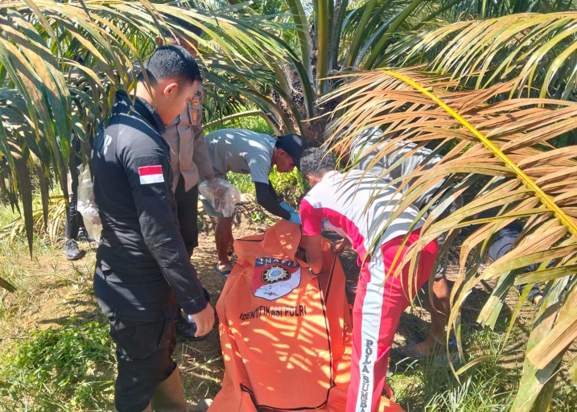 Polisi Identifikasi Bekas Luka Hantaman di Kepala Dua Jasad Wanita yang Ditemukan Tewas di Solok Selatan