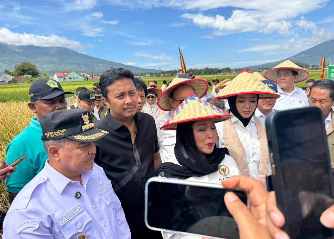 Inovasi Pertanian Sawah Pokok Murah di Sumbar Didorong Jadi Program Nasional