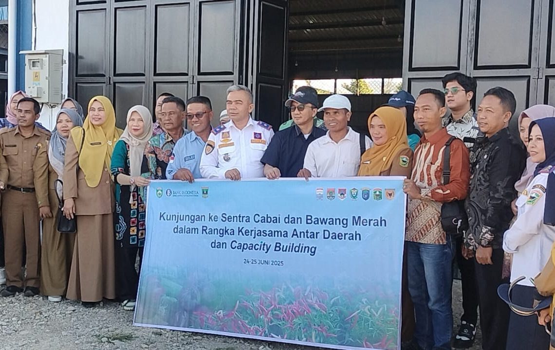 TPID Provinsi Sumsel Jajaki Kerjasama Pengendalian Inflasi ke Kabupaten Solok
