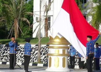 Jadi Pembina Upacara Hari Kesadaran Nasional, Sekda Ajak Jajaran Pemkab OKU Selatan Komitmen Membangun Kesehatan Masyarakat