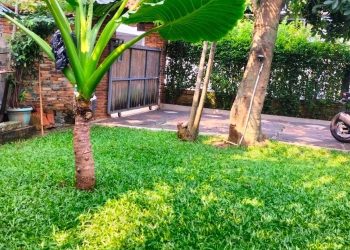 Simfoni Proteksionisme: Adaptasi Indonesia di Orkestra Dagang Global