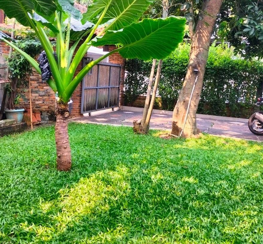 Simfoni Proteksionisme: Adaptasi Indonesia di Orkestra Dagang Global