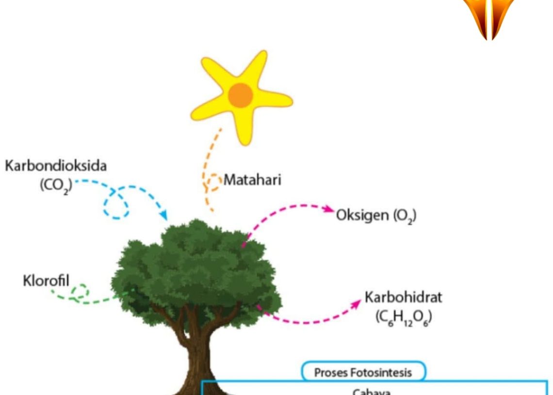 “Sedekah Oksigen”, Gerakan Kolektif Wujudkan Lingkungan Lebih Hijau