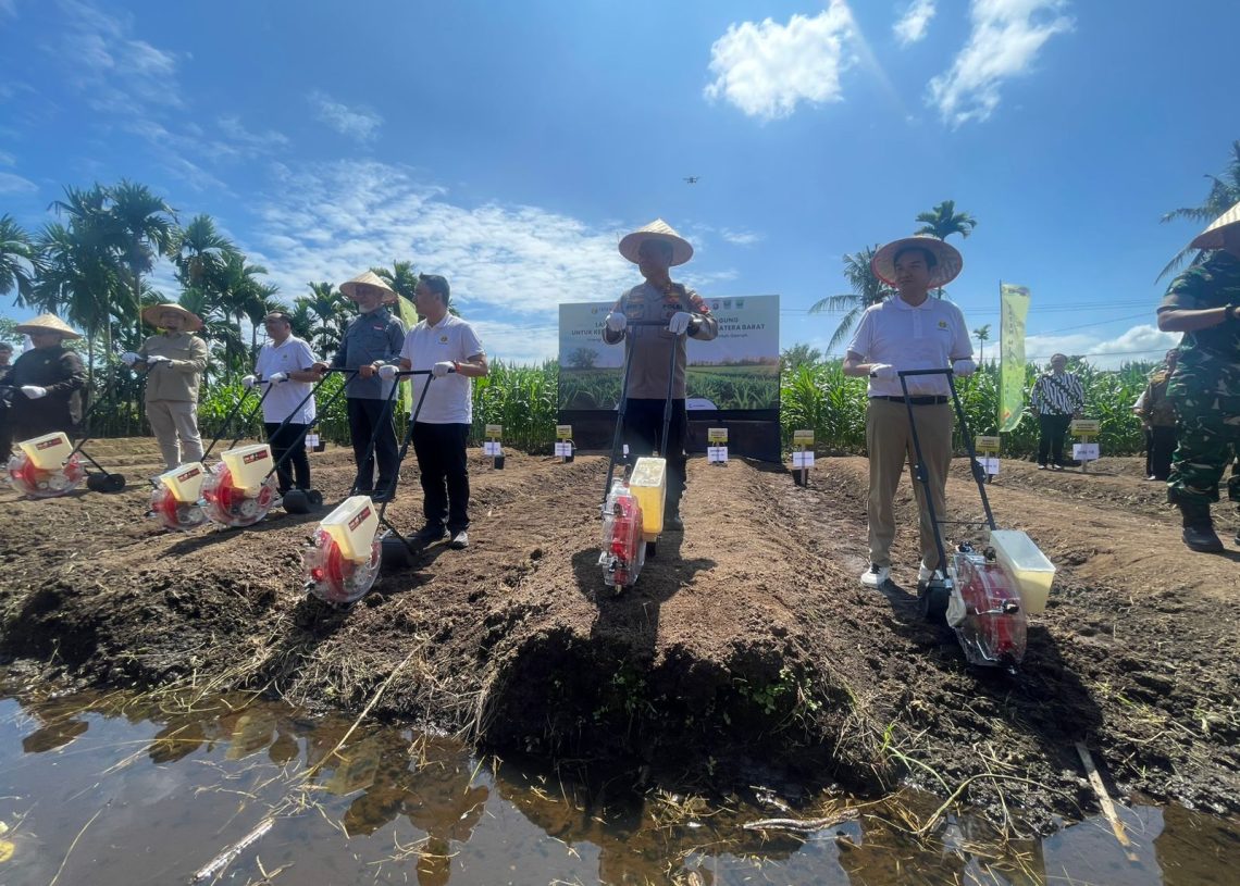 Atasi Kekurangan Jagung, Pemprov dan Polda Sumbar Jalin Kolaborasi dengan Investor untuk Peningkatan Produksi