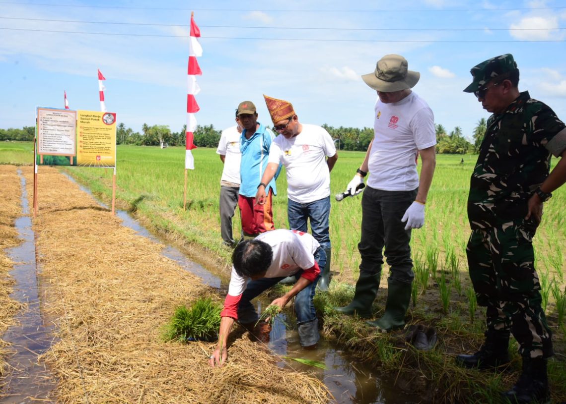Sinergi Pemkab Padang Pariaman Gelar Gerakan Irigasi Bersih, Langkah Nyata Selamatkan Petani