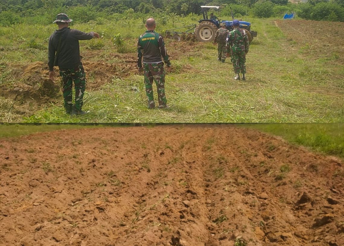 Jagung di Ujung Harapan, Ketika Cangkul dan Serdadu Menjawab Panggilan Pangan Perkuat Negeri Ini