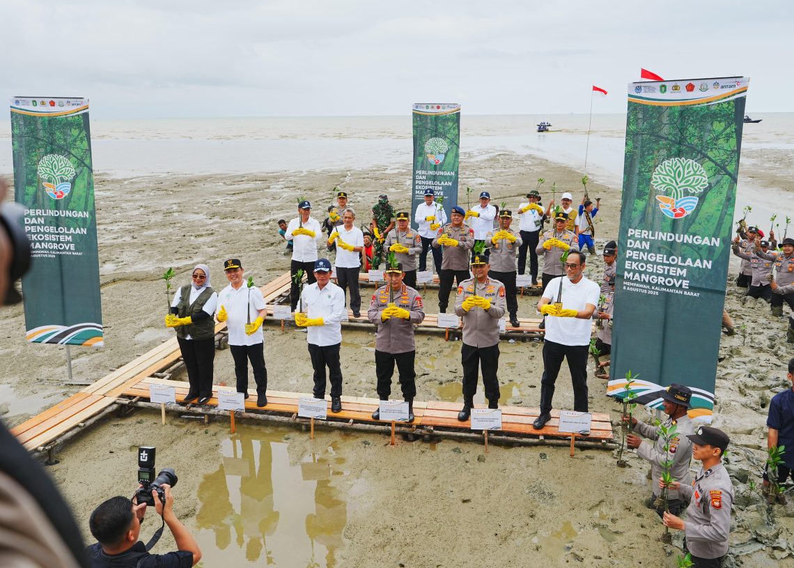 Tanam Mangrove di Kalbar, Kapolri: Jaga Lingkungan untuk Masa Depan Anak-Cucu Kita