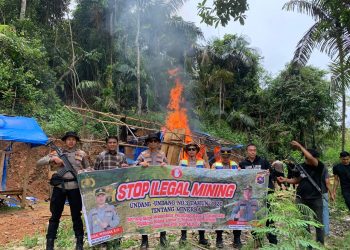 Susuri Aliran Sungai Terpanjang di Sumatera, Kapolres Faisal Perdana Tertibkan Tambang Emas Tak Berizin