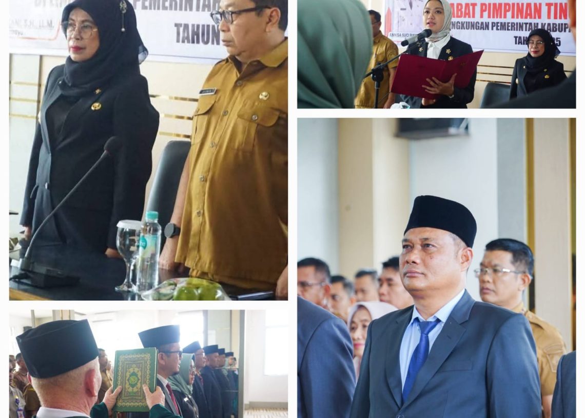 Mutasi Bergulir, Bupati Annisa Lantik 9 Pejabat Tinggi Pratama, Darisman Dipercaya Nahkodai Dinas Kominfo