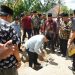 Letakkan Batu Pertama Pembangunan Masjid Raya Buo, Wabup Ingin Masjid Menjadi Pusat Kegiatan Masyarakat