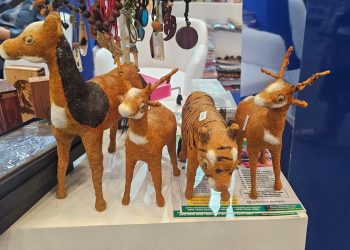 Bupati Eka Putra Kunjungi APKASI Otonomi Expo