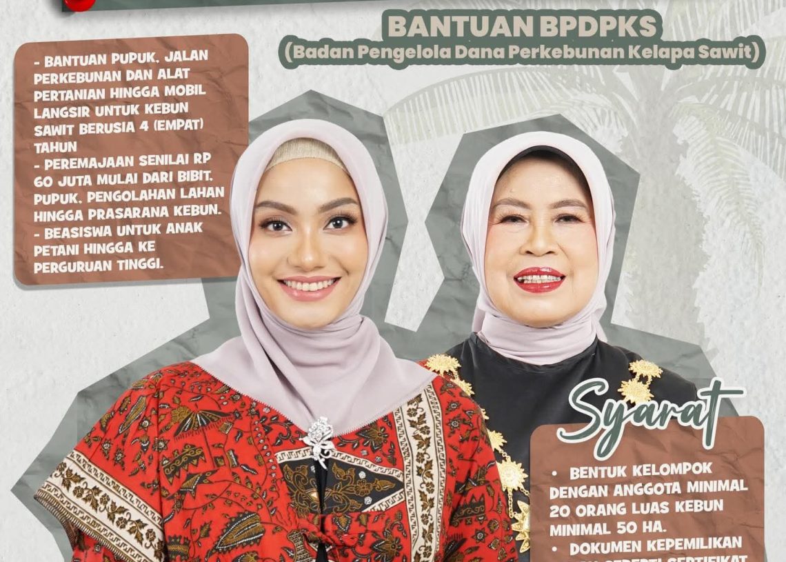 Kabar Gembira untuk Petani Sawit Dharmasraya