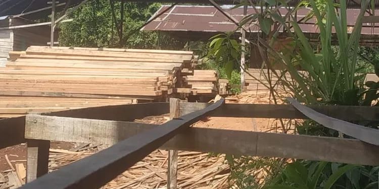 Cegah Praktik Illegal Logging, Polres Solok Selatan Siap Telusuri Izin Aktivitas Usaha Hutan Kayu