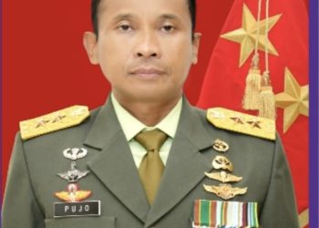 Pilar Pengendalian Mutu dan Biaya BPJS Kesehatan   