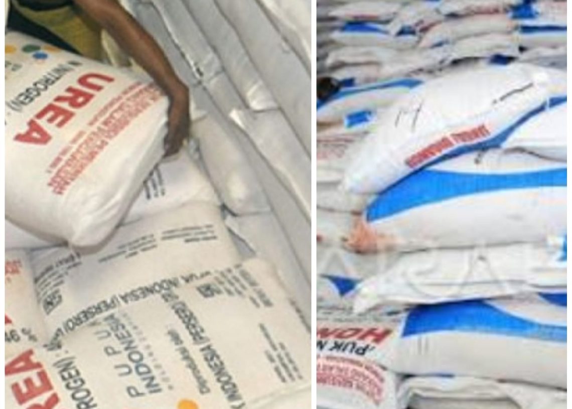 Harga Pupuk Subsidi di Desa Ruos Diduga Dijual di Atas HET, Pemilik Kios Alasan Terjerat Pinjaman Bank