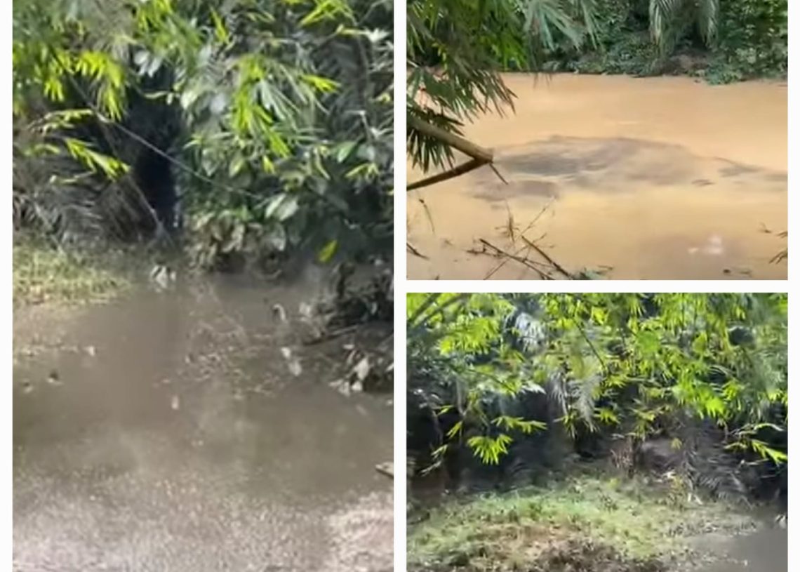 Limbah PT Dharmasraya Lestarindo Diduga Bocor ke Batang Piruko, Warga Koto Baru Resah