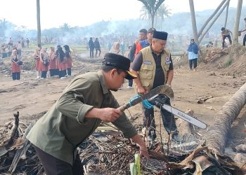 Gotong Royong Massal di Paninggahan, Pemulihan Pertanian Terus Dikebut