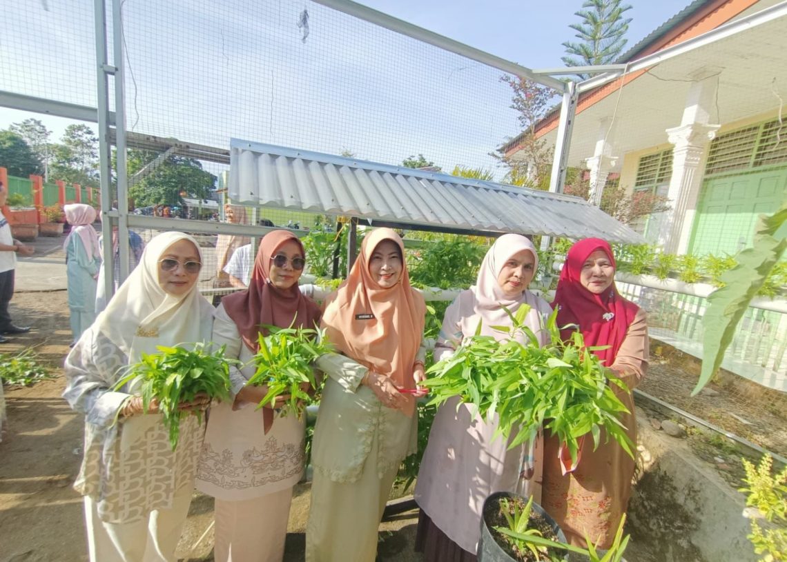 Panen Perdana Kangkung Hidroponik, Pemko Solok Dorong Ketahanan Pangan dari Pekarangan Kantor