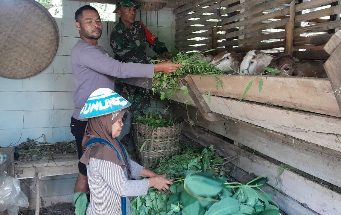 Sentuhan Kepedulian Prajurit di Somagede