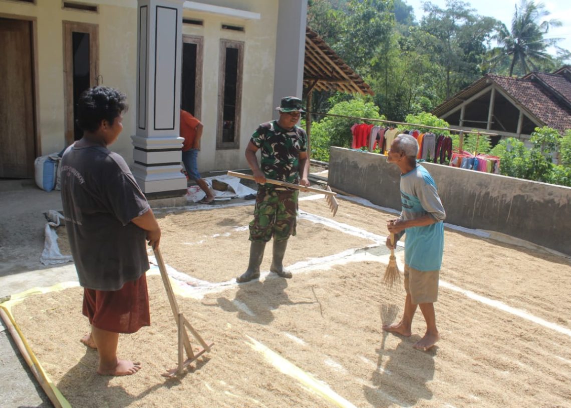 Saat Prajurit Turun ke Lumbung Panen
